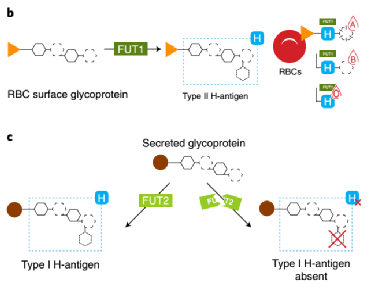 失禁大喷潮在线播放