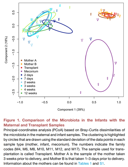 失禁大喷潮在线播放