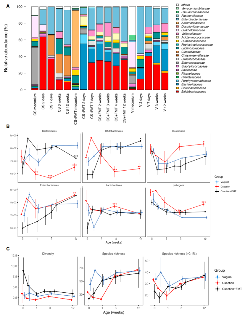 失禁大喷潮在线播放