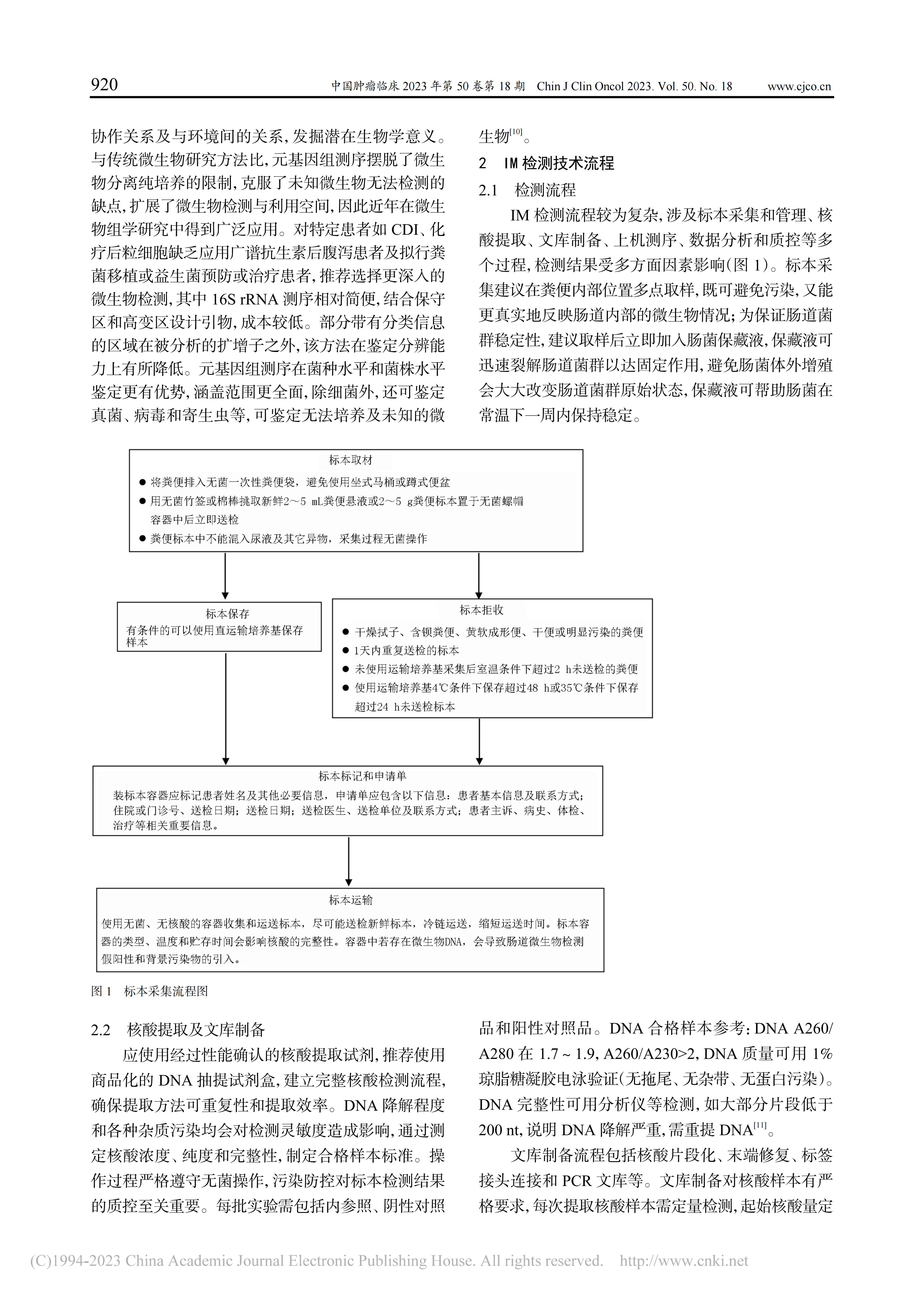 失禁大喷潮在线播放