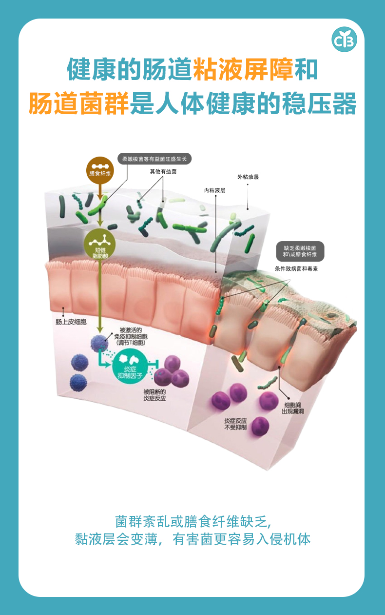失禁大喷潮在线播放