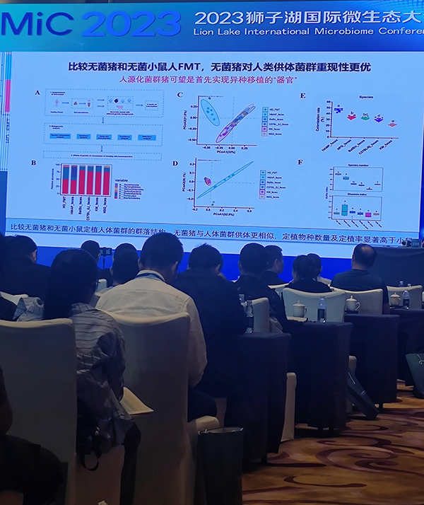 失禁大喷潮在线播放