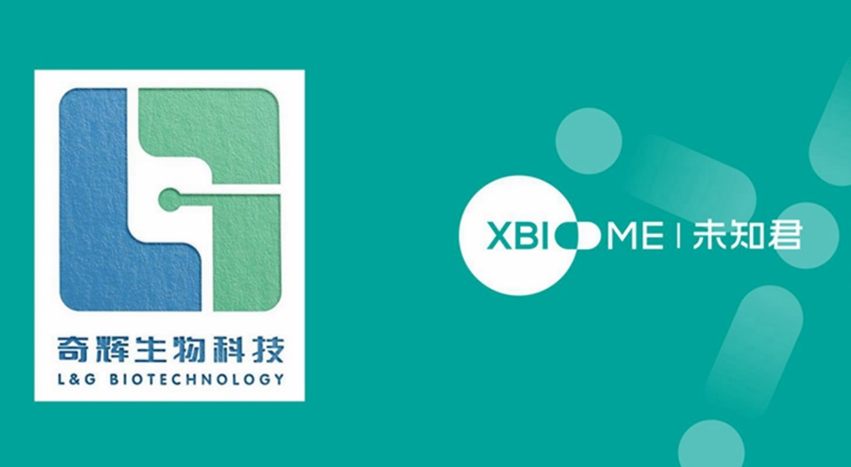 失禁大喷潮在线播放