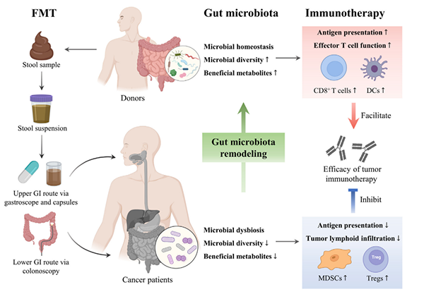 失禁大喷潮在线播放