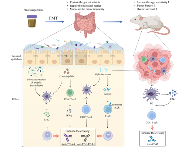 失禁大喷潮在线播放