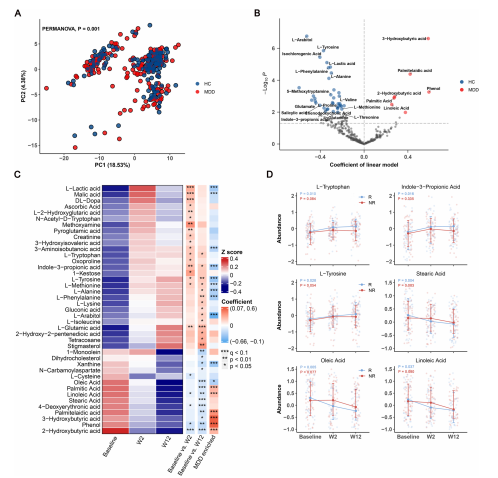 失禁大喷潮在线播放
