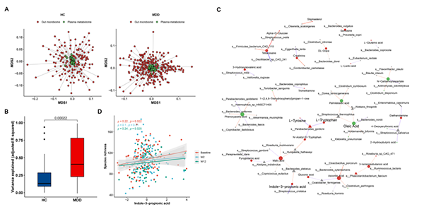 失禁大喷潮在线播放