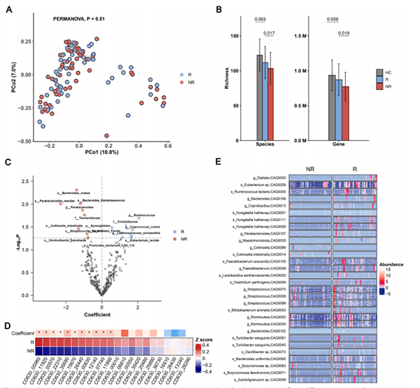 失禁大喷潮在线播放