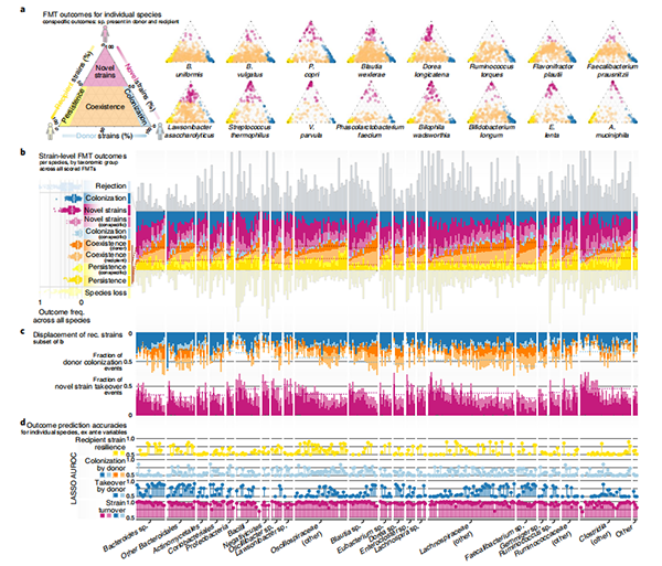 失禁大喷潮在线播放