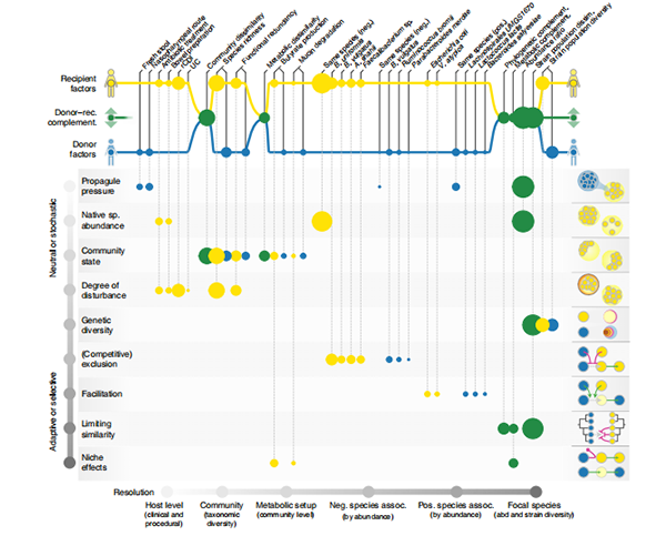 失禁大喷潮在线播放