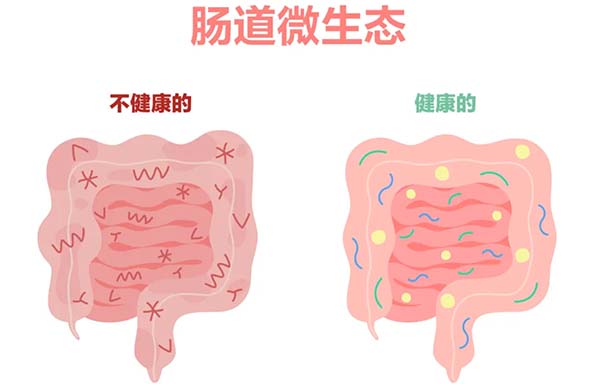 失禁大喷潮在线播放