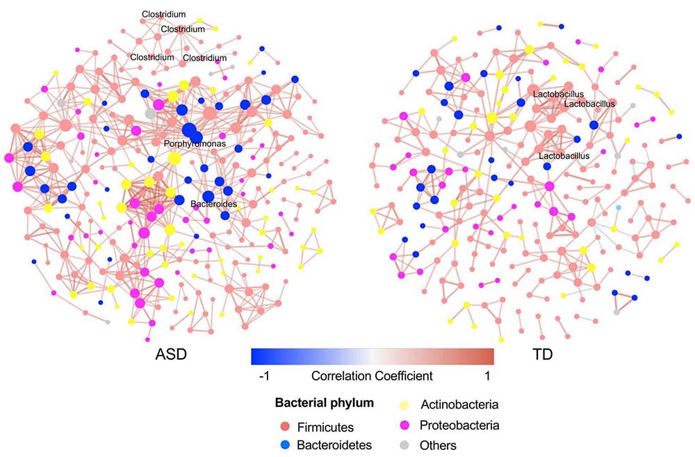 失禁大喷潮在线播放