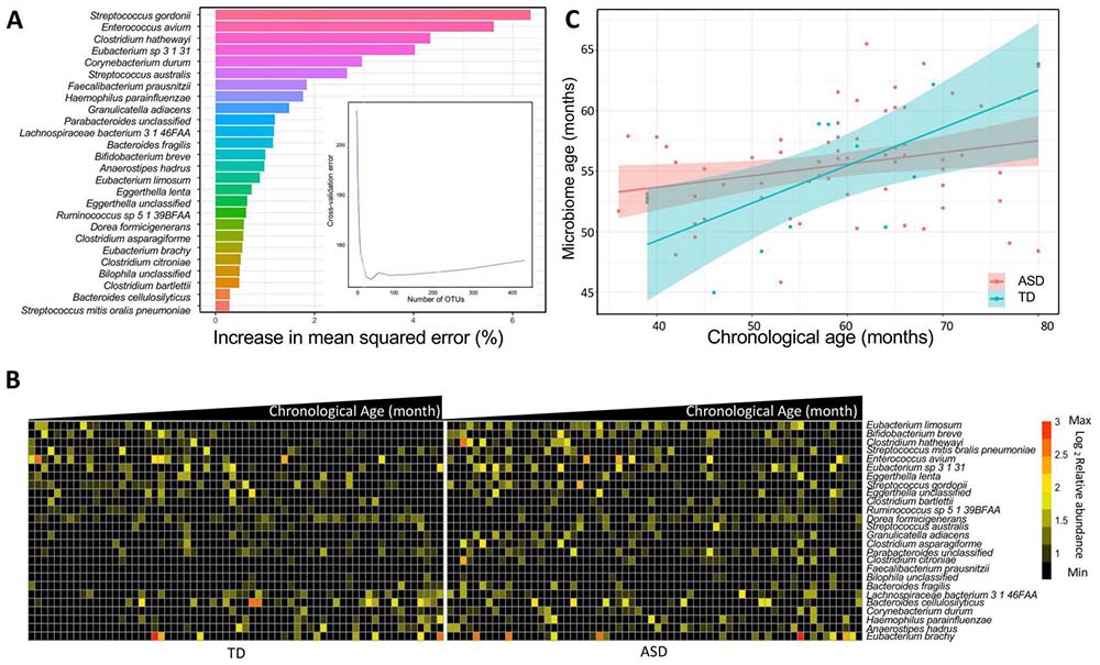 失禁大喷潮在线播放