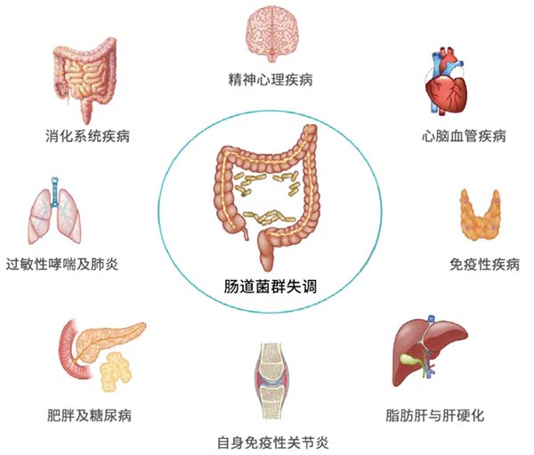 失禁大喷潮在线播放