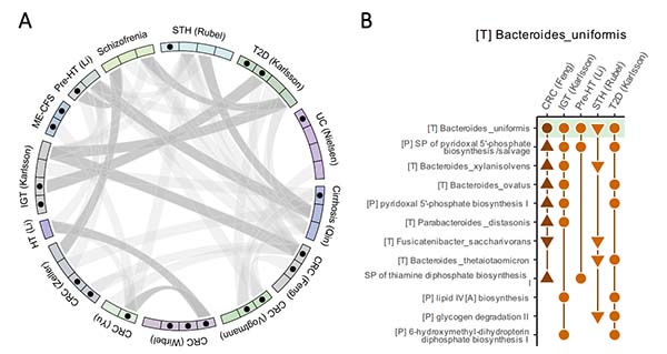 失禁大喷潮在线播放