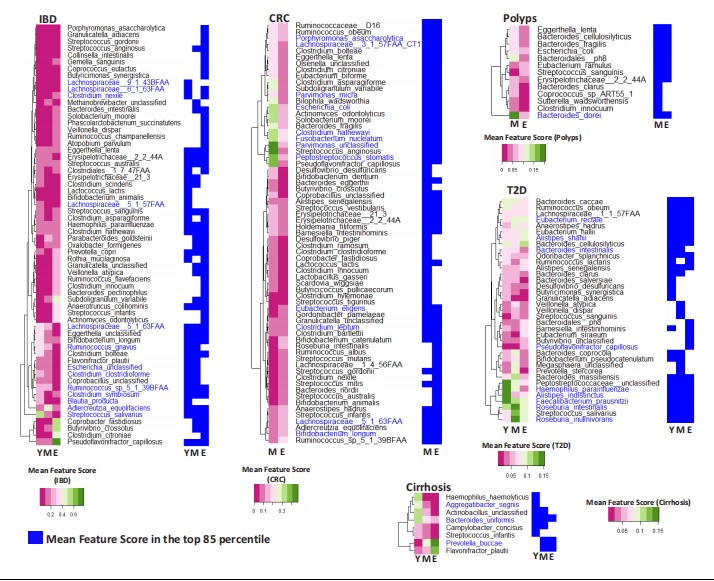 失禁大喷潮在线播放