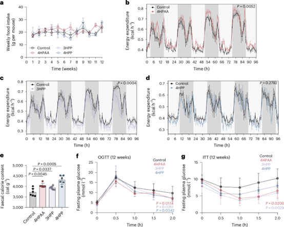 失禁大喷潮在线播放
