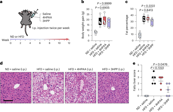 失禁大喷潮在线播放