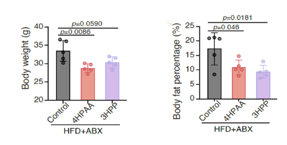 失禁大喷潮在线播放