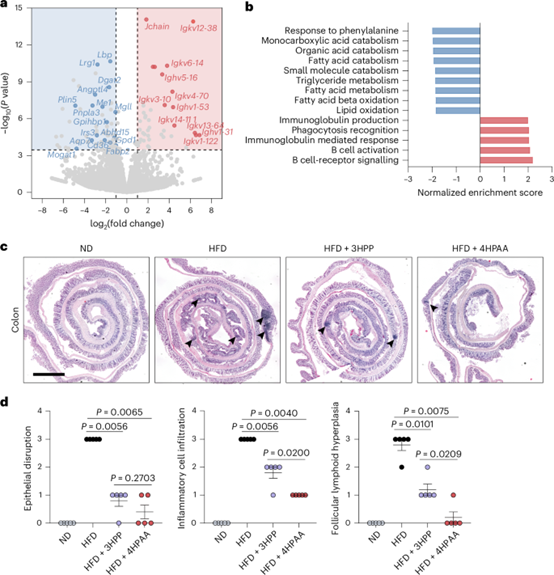 失禁大喷潮在线播放