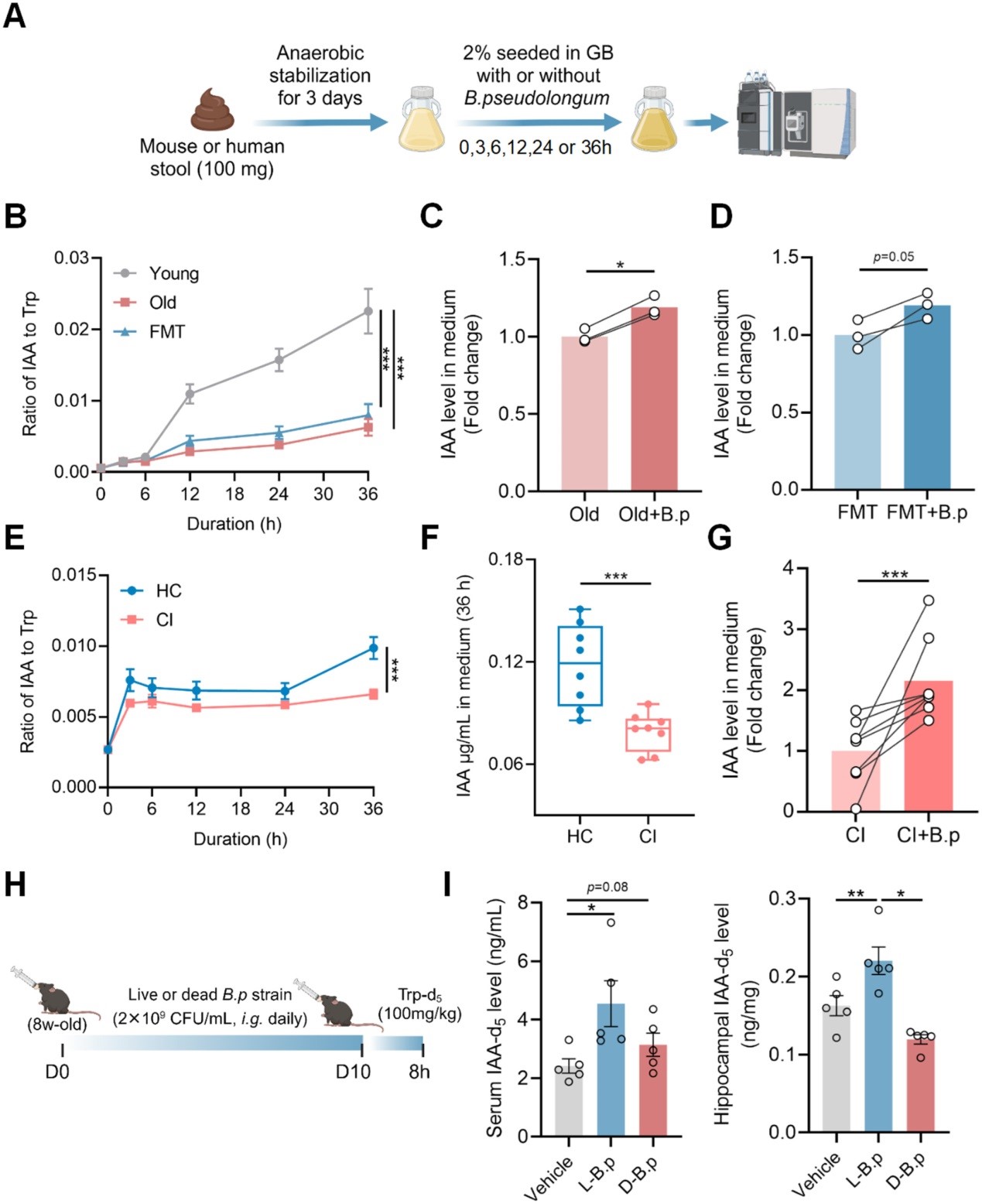 失禁大喷潮在线播放
