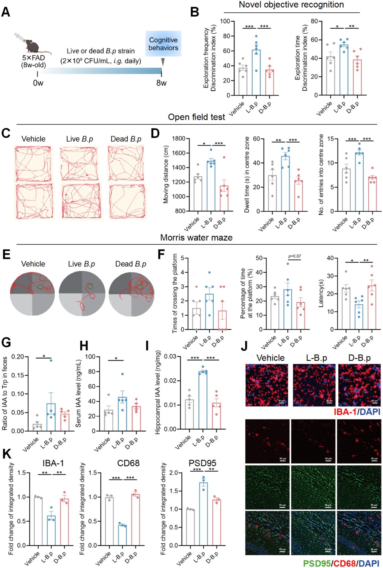 失禁大喷潮在线播放
