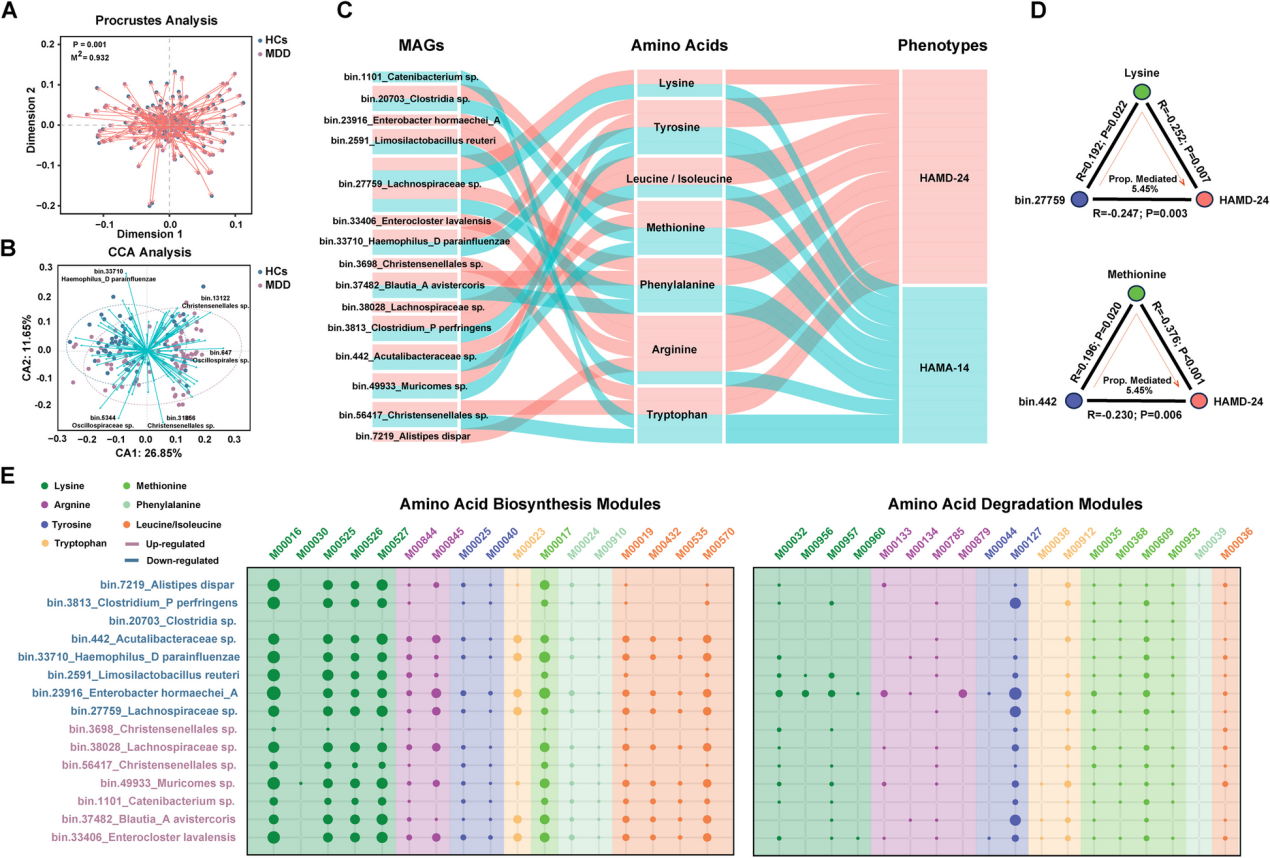 失禁大喷潮在线播放