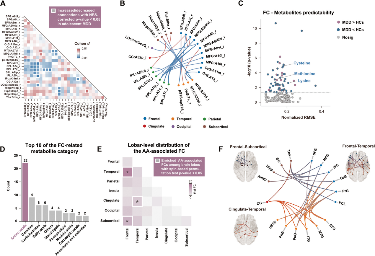 失禁大喷潮在线播放
