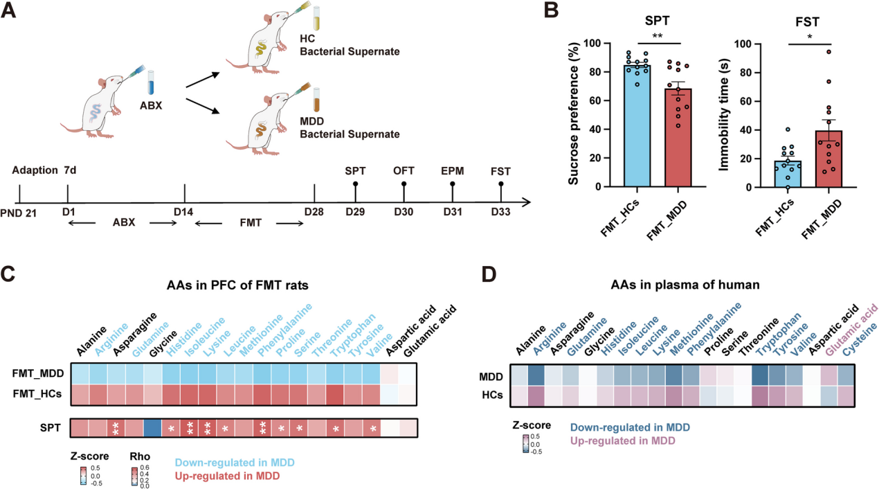 失禁大喷潮在线播放