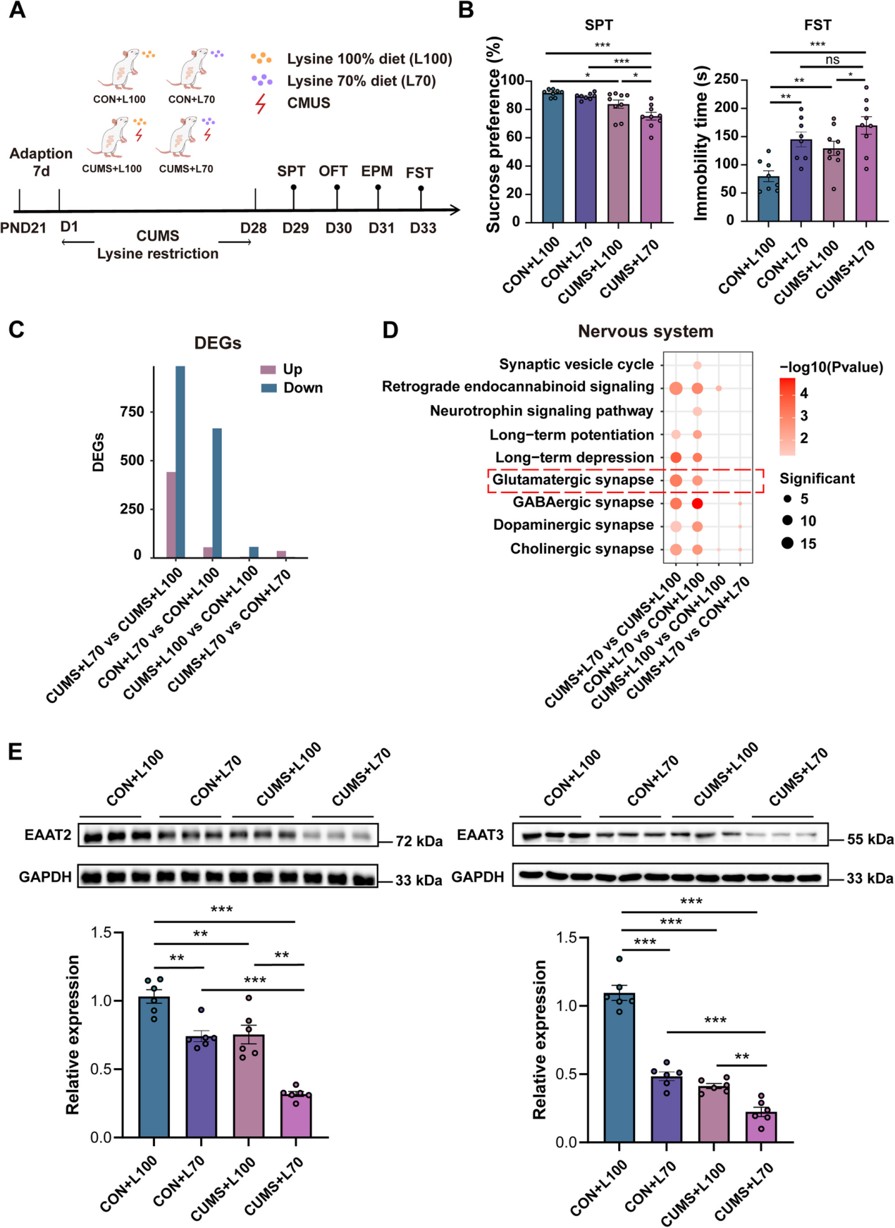 失禁大喷潮在线播放