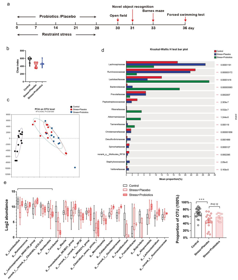 失禁大喷潮在线播放
