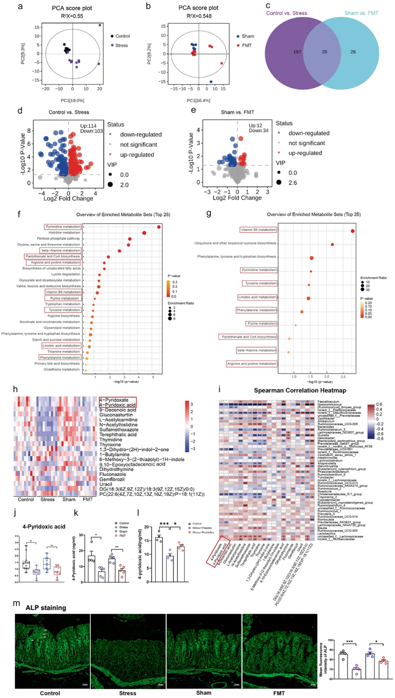 失禁大喷潮在线播放
