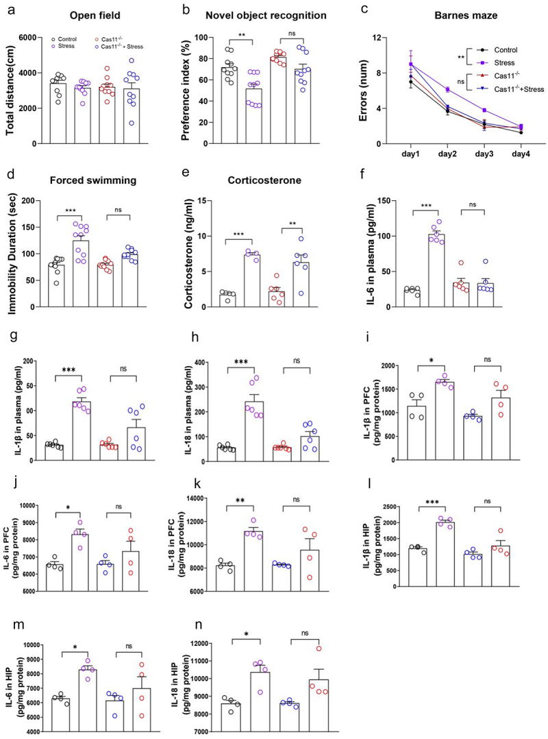 失禁大喷潮在线播放