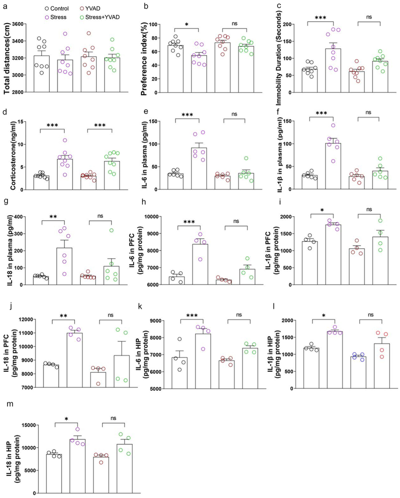 失禁大喷潮在线播放