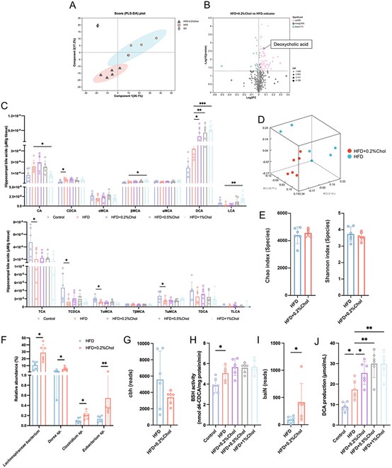失禁大喷潮在线播放