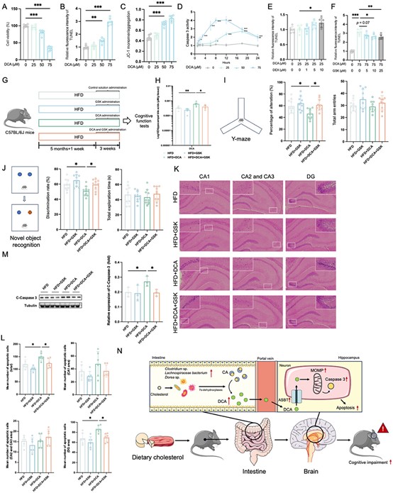 失禁大喷潮在线播放