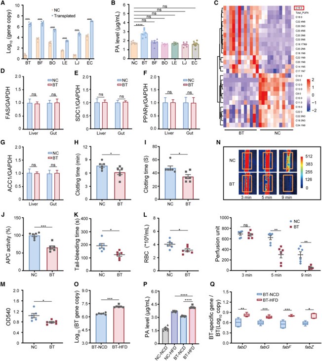 失禁大喷潮在线播放