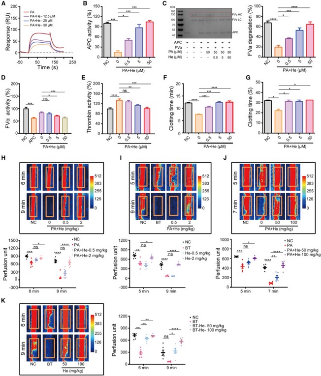 失禁大喷潮在线播放