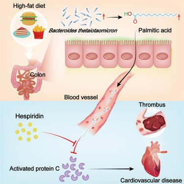 失禁大喷潮在线播放