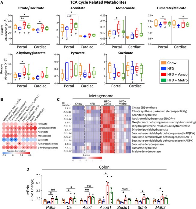 失禁大喷潮在线播放