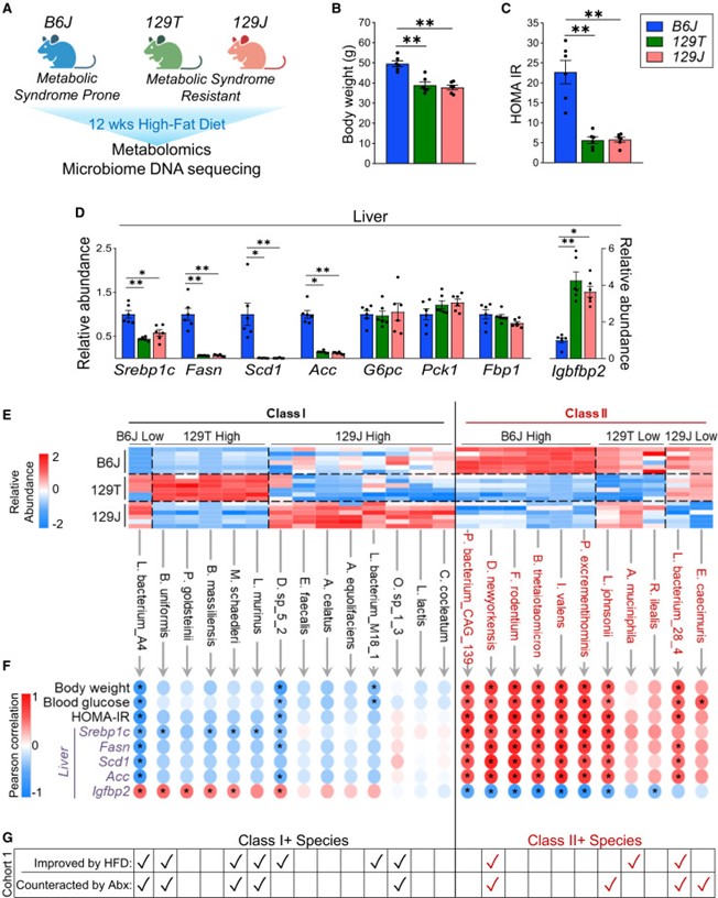 失禁大喷潮在线播放
