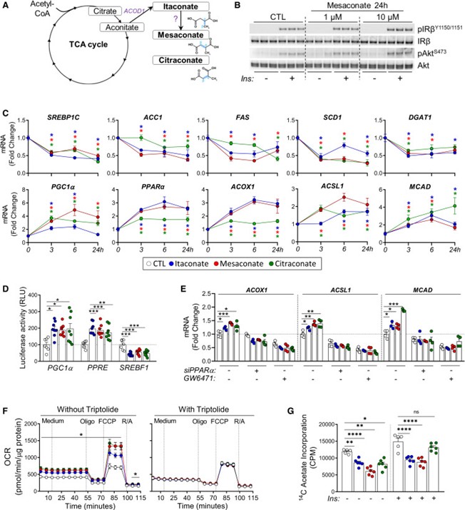 失禁大喷潮在线播放