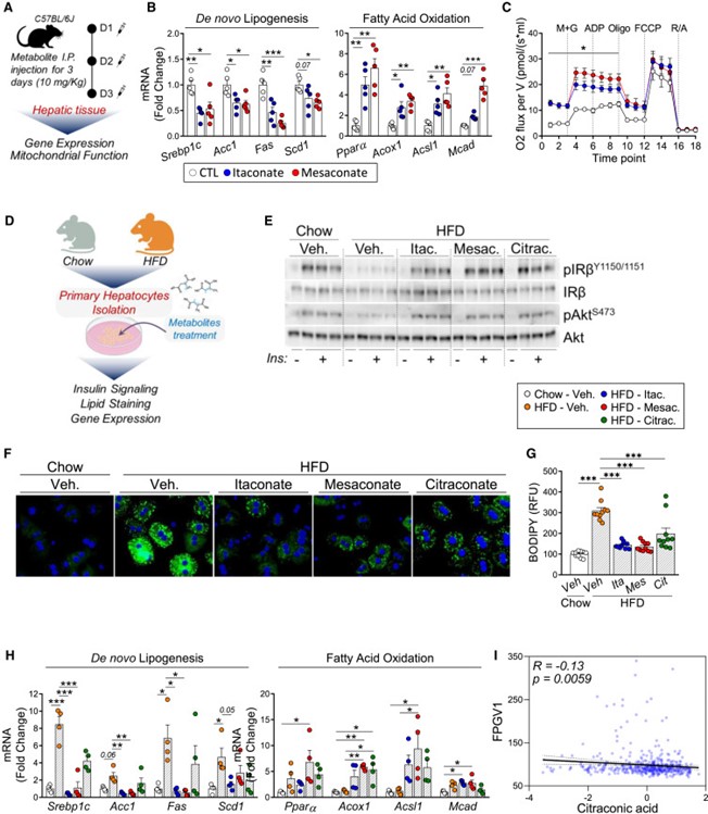 失禁大喷潮在线播放