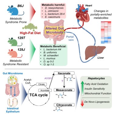 失禁大喷潮在线播放