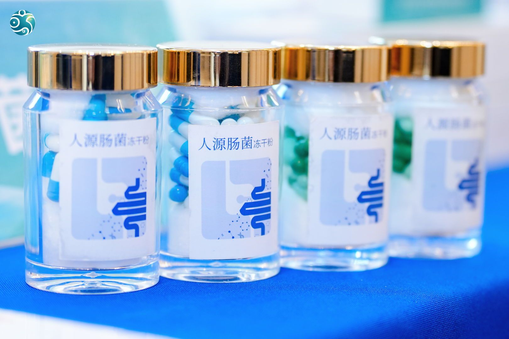 失禁大喷潮在线播放