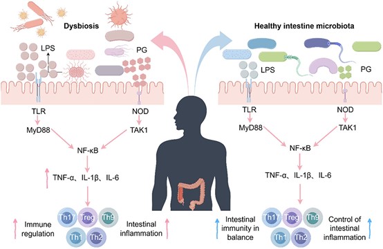 失禁大喷潮在线播放