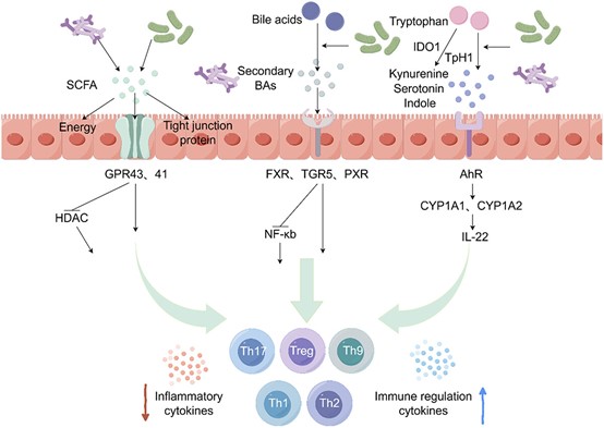 失禁大喷潮在线播放