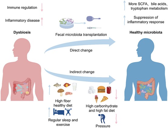 失禁大喷潮在线播放